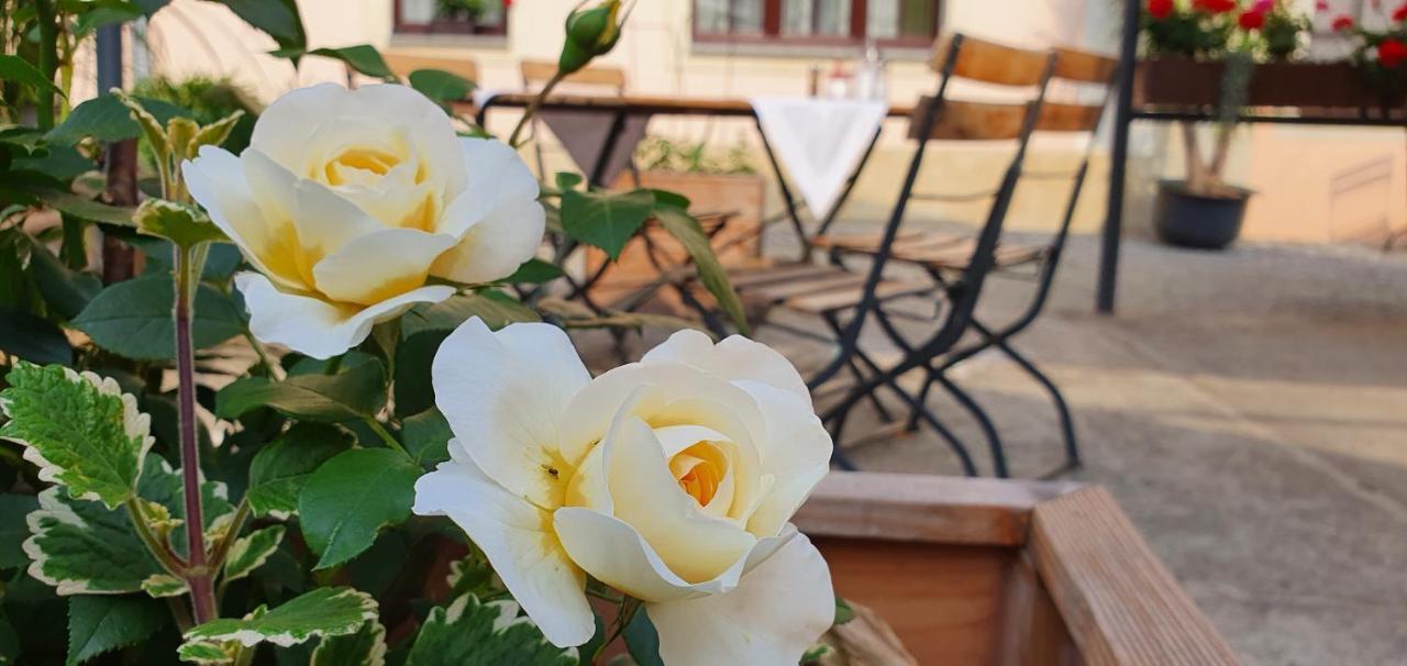 Hotel "Pension Marlis" Garni Reichenberg  Extérieur photo